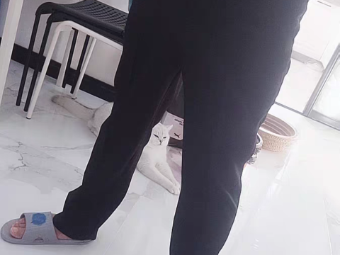 中年灰衬衫黑西裤皮带胖熊图片