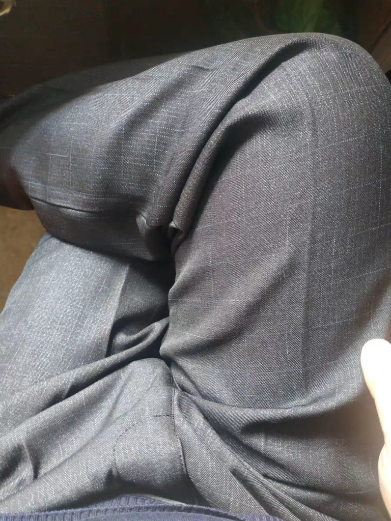 中年灰西裤胖熊图片